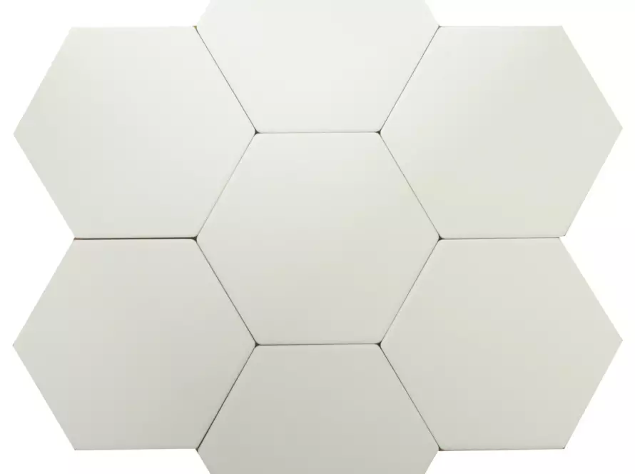 KP-1428-6-inches-Hexagon-Examatt